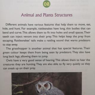2 Animals and Plants Structures