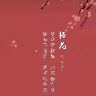 204.梅花 王安石