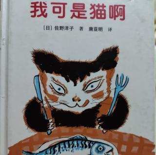 我可是猫啊