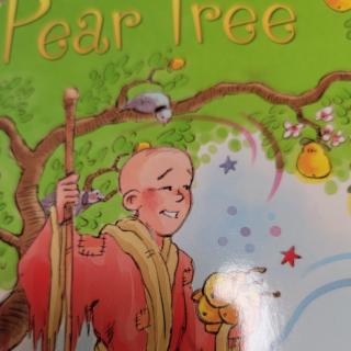 The magic pear tree