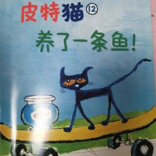 《养了一条鱼》皮特猫12