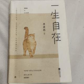 生命冥想