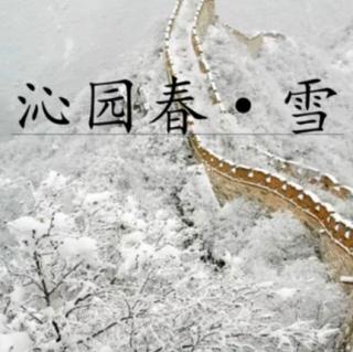 沁园春.——雪