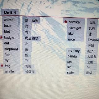 夏景涵三年级英语下册单词朗读