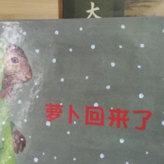 萝卜回来了