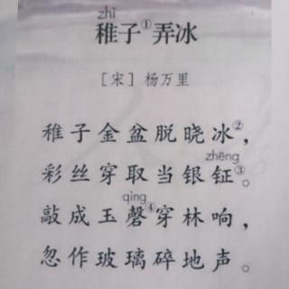 《稚子弄冰》杨万里