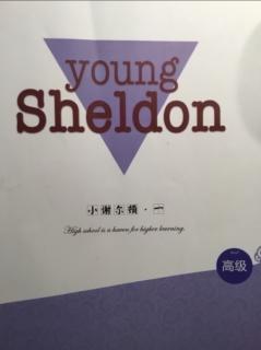 Young Sheldon. Chapter 11