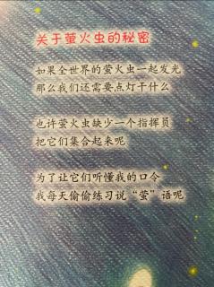 《关于萤火虫的秘密》