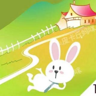 十街幼儿园园长妈妈睡前故事263《寻找友情的小兔子🐰》