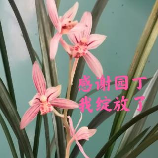 你好看了，世界就好看