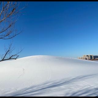 银装素裹 纷飞白雪20220123052702