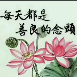 《师道人生》第十一章第三节第四节