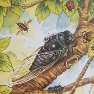 《昆虫记》蜜蜂——黄蜂5