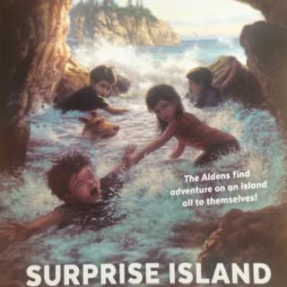 surprise island 3