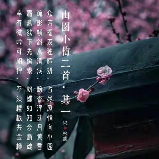 208.山园小梅二首•其一 林逋