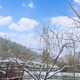 雪
       作者：付华  朗诵: 正亮