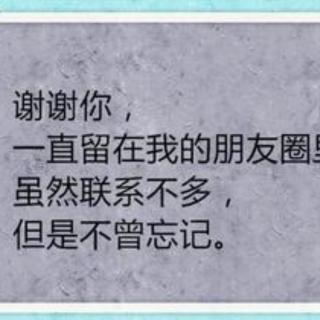 《谢谢你还在我的朋友圈》作者  佚名   诵读   茉莉