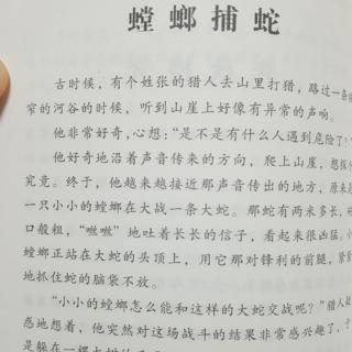 《中国古代寓言故事》之《螳螂捕蛇》