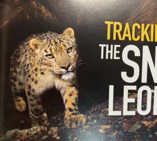 RE 3 3B-Tracking the snow leopard