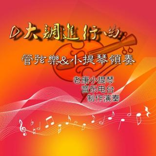 D大调进行曲（播主领奏版）