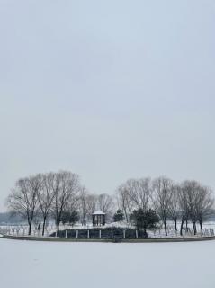 人与蝴蝶，雪，冬雪，清欢，茶，简单，假如