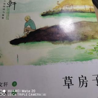 草房子   细马（一）