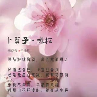 210.卜算子•咏梅 毛泽东