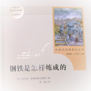 《钢铁是怎样炼成的》第一章