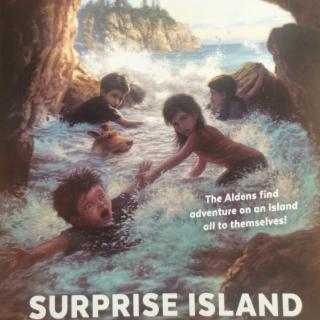 surprise island 5