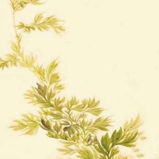 173《诗经·小雅·蓼萧》