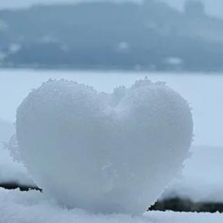 雪来了，雪化了