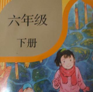 表里的生物