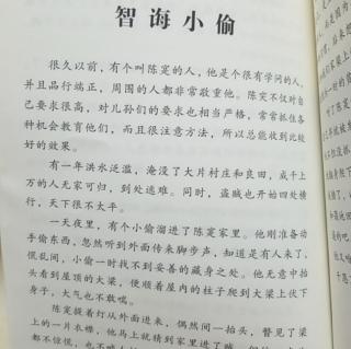 《中国古代寓言故事》之《智诲小偷》