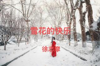 《雪花的快乐》作者：徐志摩