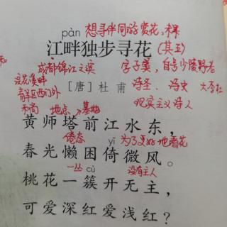 四下《江畔独步寻花》（其五））