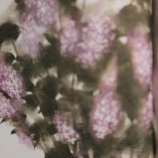 一株紫丁香