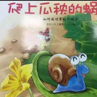 幼专附属幼儿园张老师——《爬上瓜秧的蜗牛》