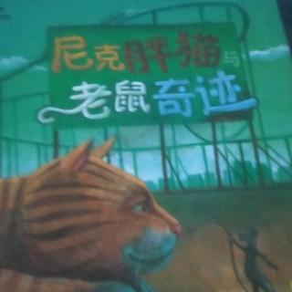 尼克胖猫与老鼠奇迹