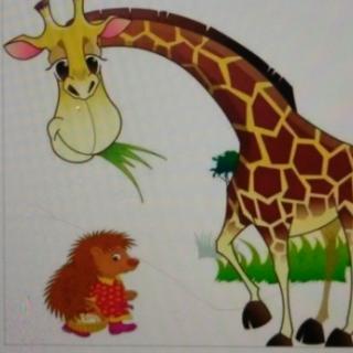 经典绘本――长颈鹿和小刺猬比本领