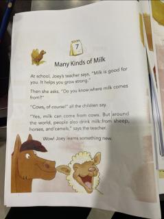 Many kinds of milk