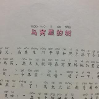 《鸟窝里的树》