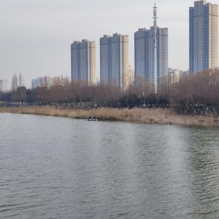 新年献词    大运河