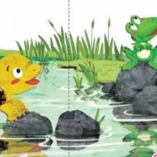 丫丫贝贝幼教~小红帽幼儿园睡前故事《青蛙的乌龟朋友》