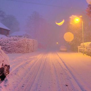 ❄他朝同淋雪也算共白头