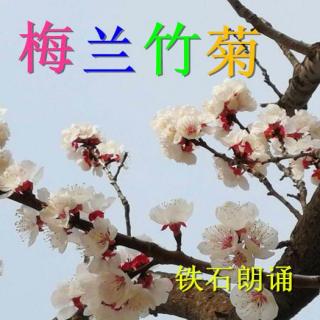 《梅兰竹菊》铁石朗诵