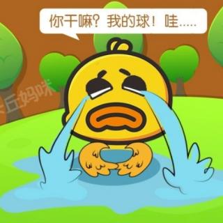 《爱哭的黄小鸭》