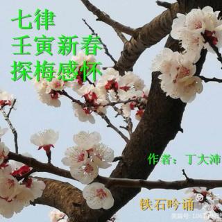 《七律。壬寅新春探梅感怀》作者：丁大沛