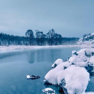 《凌风傲雪》邢三元