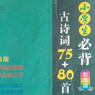 龙儿背古诗26《山园小梅》