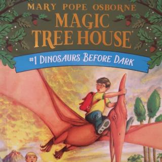 Magic tree house chapter7